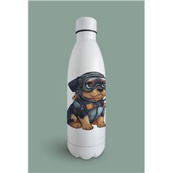 Insulated Bottle  - ro 25