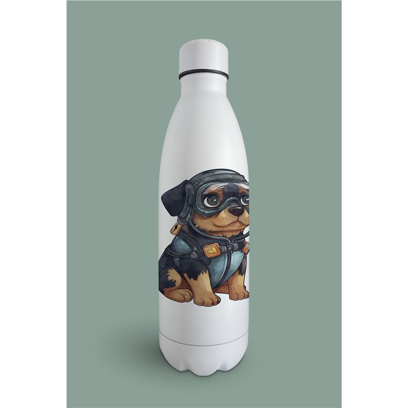 Insulated Bottle  - ro 25