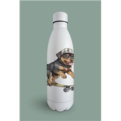 Insulated Bottle  - ro 26
