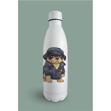Insulated Bottle  - ro 27