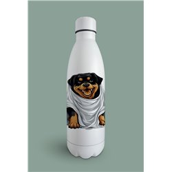 Insulated Bottle  - ro 28