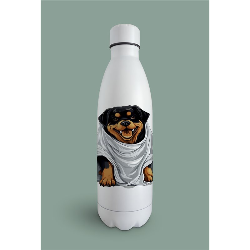 Insulated Bottle  - ro 28