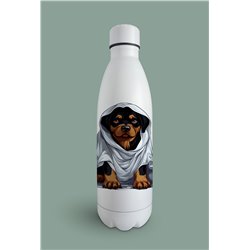 Insulated Bottle  - ro 29