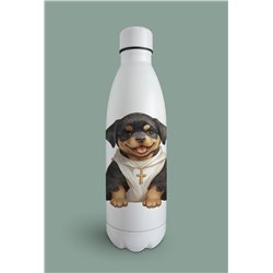 Insulated Bottle  - ro 30