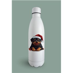 Insulated Bottle  - ro 31
