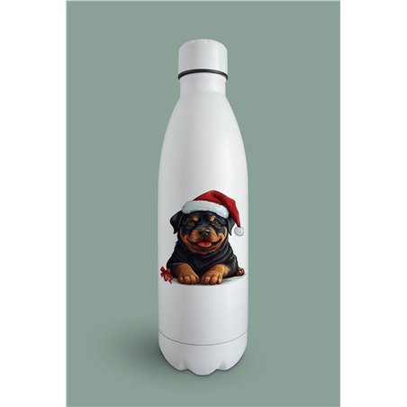 Insulated Bottle  - ro 31
