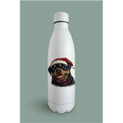 Insulated Bottle  - ro 32