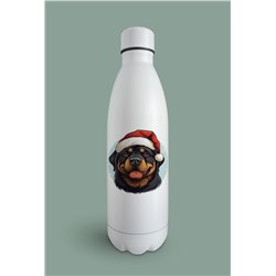 Insulated Bottle  - ro 33