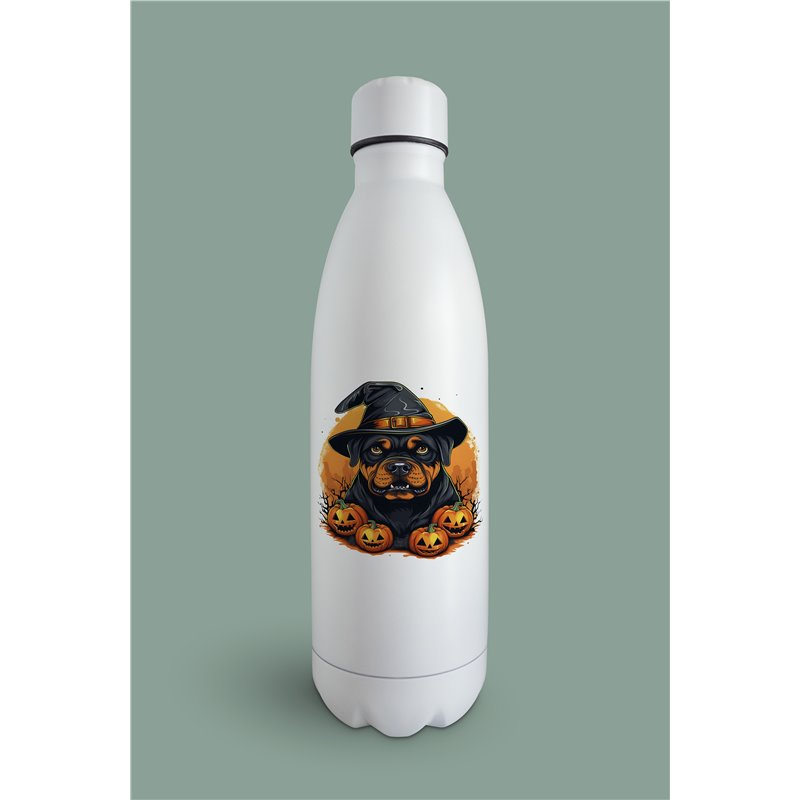 Insulated Bottle  - ro 34