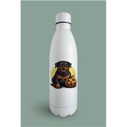 Insulated Bottle  - ro 35