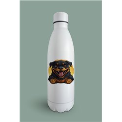 Insulated Bottle  - ro 36