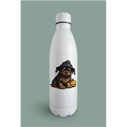 Insulated Bottle  - ro 37