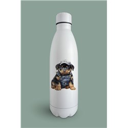 Insulated Bottle  - ro 38