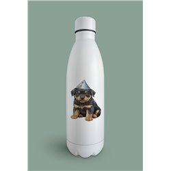 Insulated Bottle  - ro 42