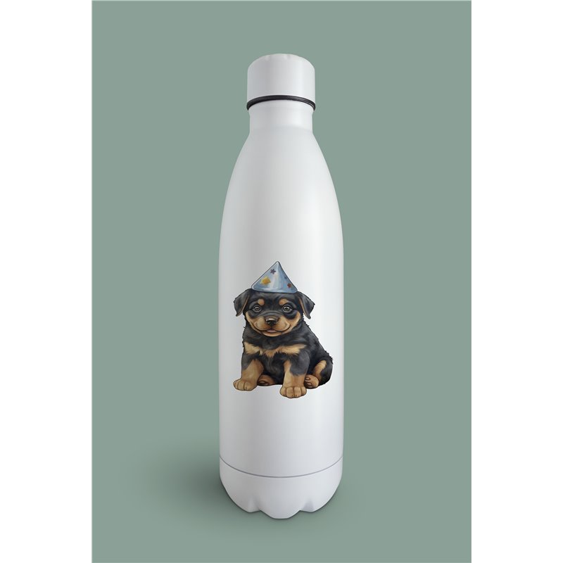 Insulated Bottle  - ro 42