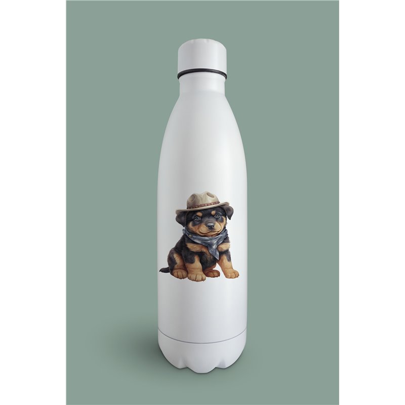 Insulated Bottle  - ro 43