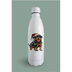 Insulated Bottle  - ro 44