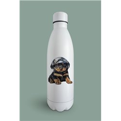 Insulated Bottle  - ro 45