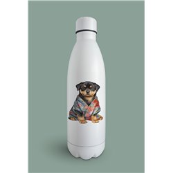 Insulated Bottle  - ro 46