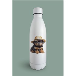 Insulated Bottle  - ro 47