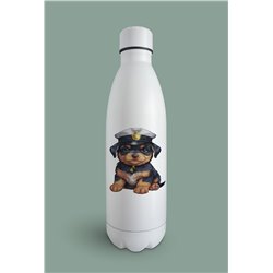 Insulated Bottle  - ro 50