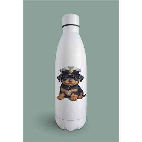 Insulated Bottle  - ro 51