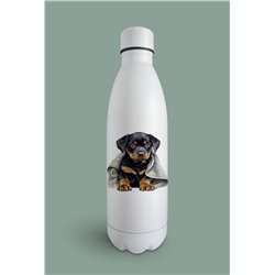 Insulated Bottle  - ro 52