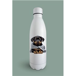 Insulated Bottle  - ro 53