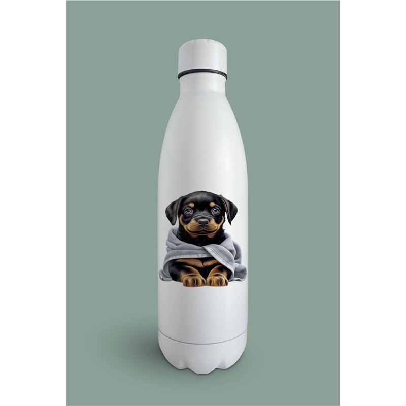 Insulated Bottle  - ro 53