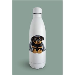 Insulated Bottle  - ro 54