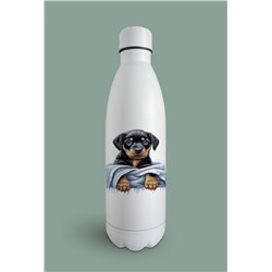 Insulated Bottle  - ro 55