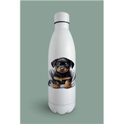 Insulated Bottle  - ro 56
