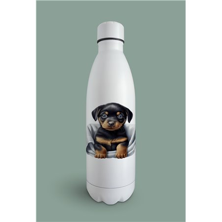 Insulated Bottle  - ro 56