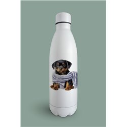 Insulated Bottle  - ro 57
