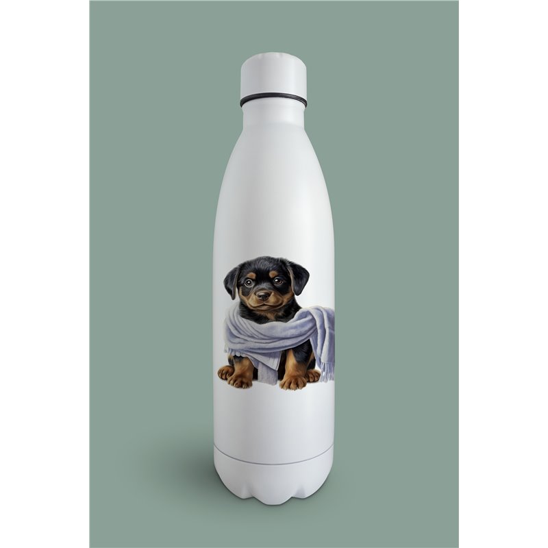 Insulated Bottle  - ro 57