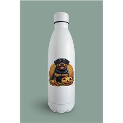Insulated Bottle  - ro 58