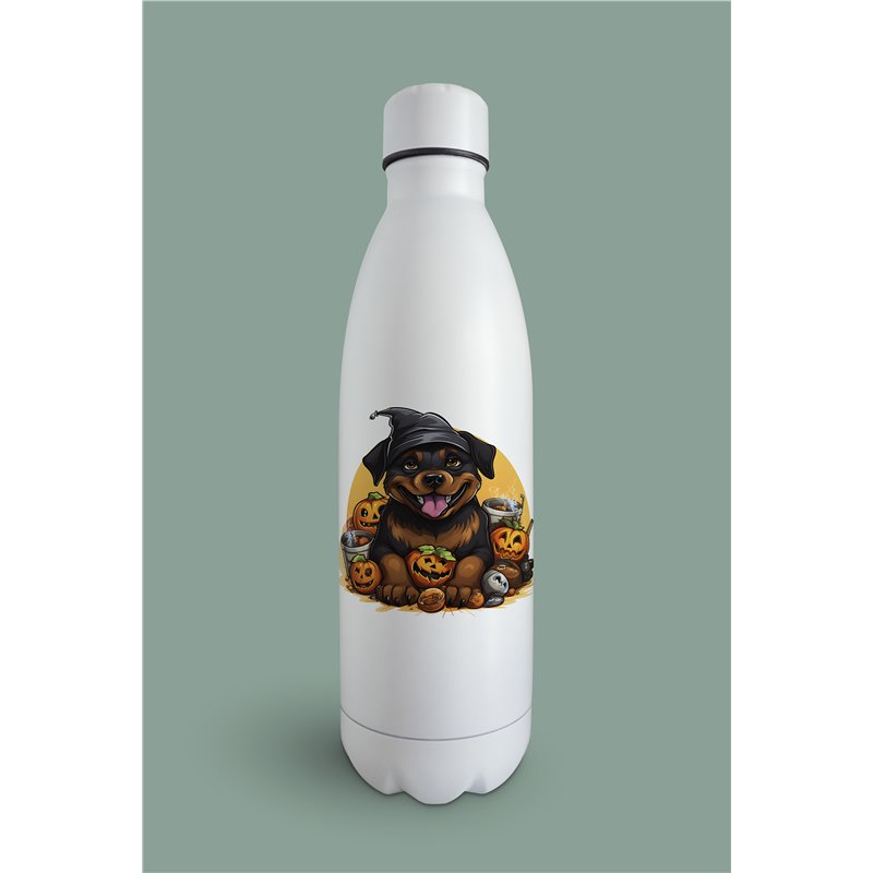 Insulated Bottle  - ro 59
