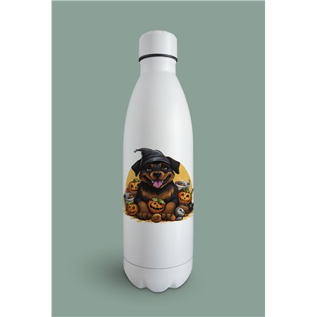 Insulated Bottle  - ro 59