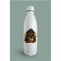 Insulated Bottle  - ro 60