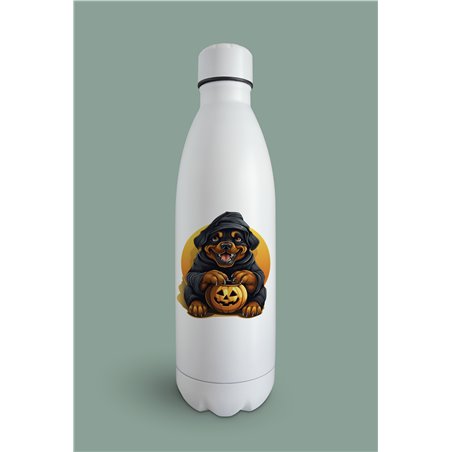 Insulated Bottle  - ro 60