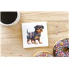 Ceramic Tile Coaster/ Trivet - ro 20