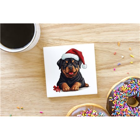 Ceramic Tile Coaster/ Trivet - ro 30