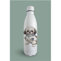 Insulated Bottle  - st 17