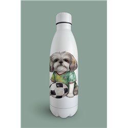 Insulated Bottle  - st 25