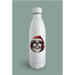 Insulated Bottle  - st 29