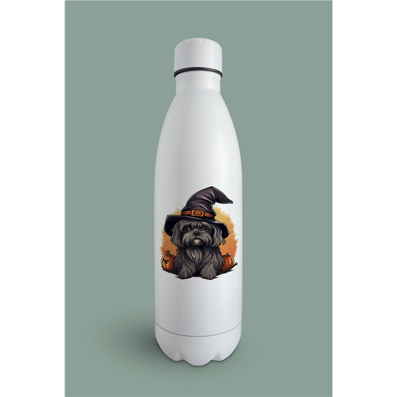 Insulated Bottle  - st 31
