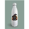 Insulated Bottle  - st 31