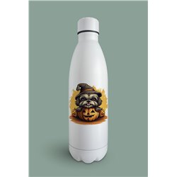 Insulated Bottle  - st 33