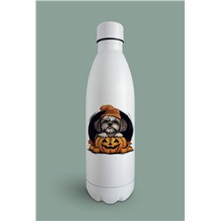Insulated Bottle  - st 34