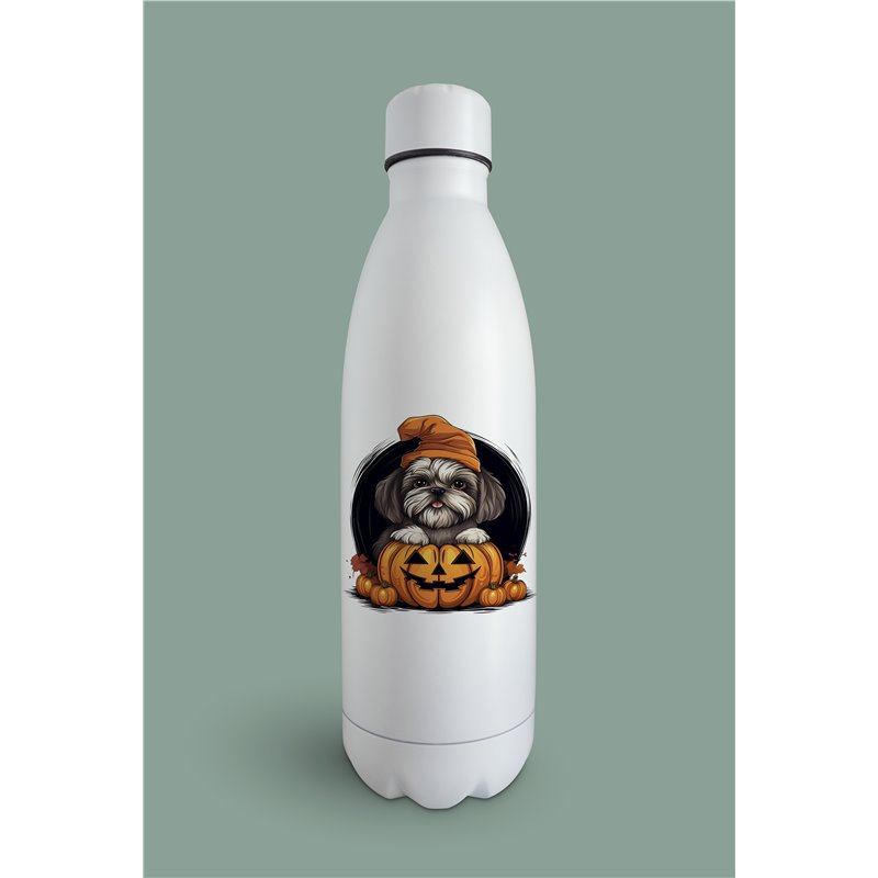 Insulated Bottle  - st 34